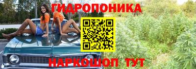 трава Краснодар